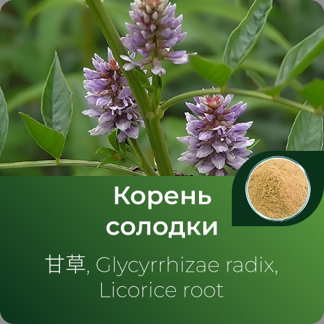 Солодки корня экстракт сухой Солодки корня экстракт сухой