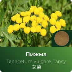 Пижмы экстракт сухой Пижмы экстракт сухой