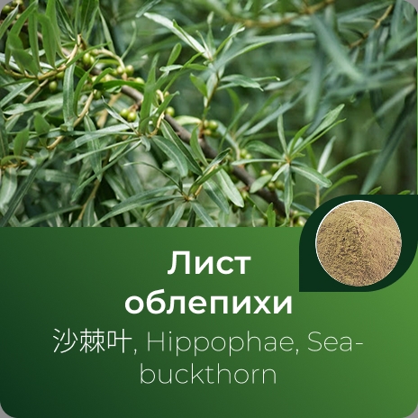 Облепихи экстракт сухой Облепихи экстракт сухой