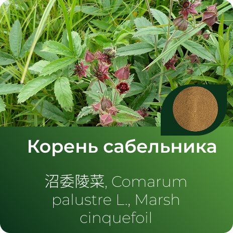 Сабельника экстракт сухой Сабельника экстракт сухой