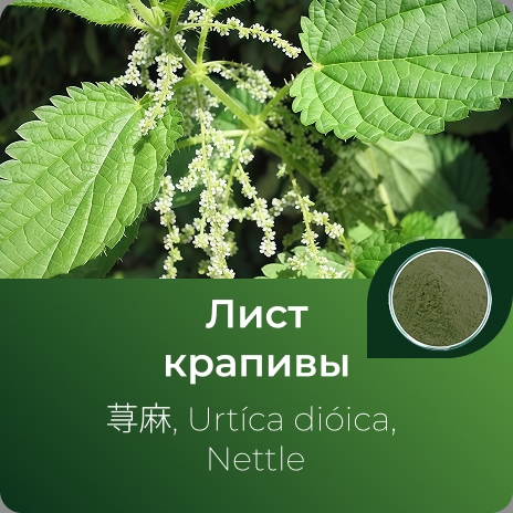 Крапивы листьев экстракт сухой Крапивы листьев экстракт сухой