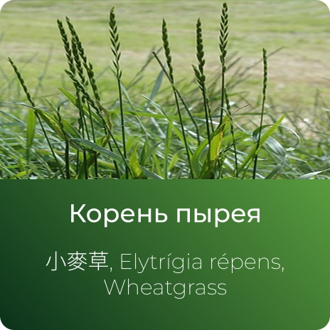 Пырея экстракт сухой Пырея экстракт сухой