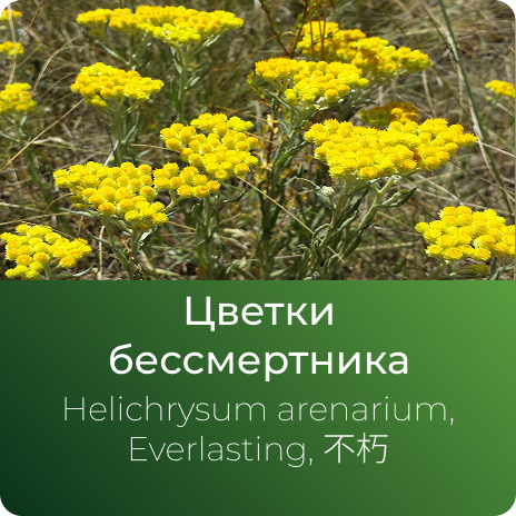 Бессмертника экстракт сухой Бессмертника экстракт сухой