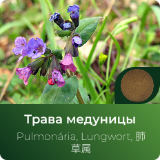Медуницы экстракт сухой