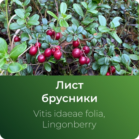Брусники экстракт сухой Брусники экстракт сухой