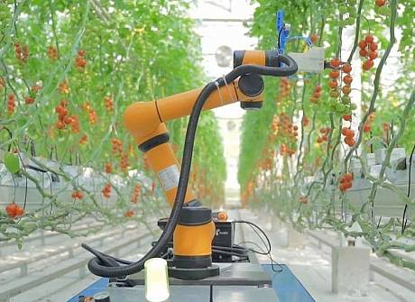 Ночной дозор: зачем агроному нужен робот-инспектор Ночной дозор: зачем агроному нужен робот-инспектор