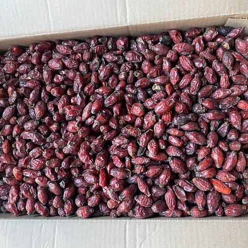 Шиповника плоды