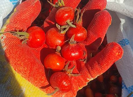 "Тамус": рынок пытается выжить, пока что получается "Тамус": рынок пытается выжить, пока что получается