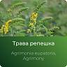 Репешка экстракт сухой Репешка экстракт сухой