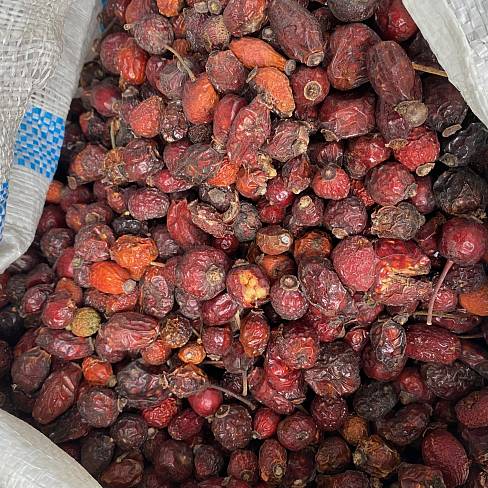 Шиповника плоды