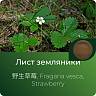 Земляники экстракт сухой Земляники экстракт сухой