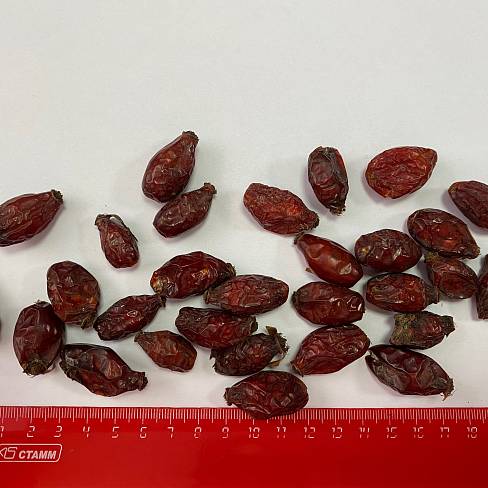 Шиповника плоды