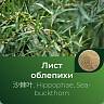 Облепихи экстракт сухой Облепихи экстракт сухой