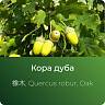 Дуба экстракт сухой Дуба экстракт сухой