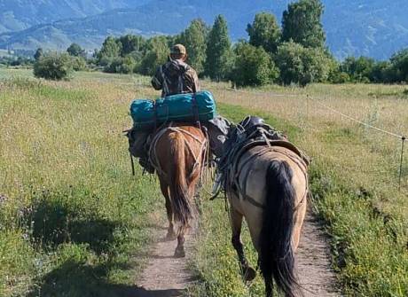 "Мы отправляемся в конные экспедиции за травами"