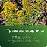Золотарника экстракт сухой Золотарника экстракт сухой
