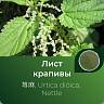 Крапивы листьев экстракт сухой Крапивы листьев экстракт сухой
