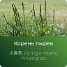 Пырея экстракт сухой Пырея экстракт сухой