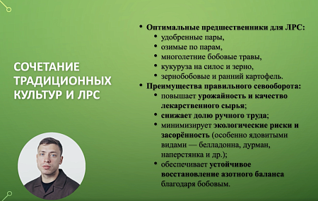 Как заработать на лекарственном растениеводстве