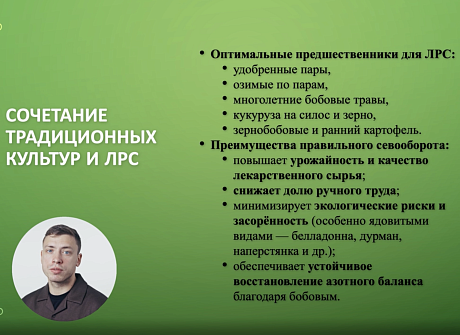 Обучающий курс "Как заработать на лекарственном растениеводстве" Обучающий курс "Как заработать на лекарственном растениеводстве"