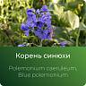 Синюхи экстракт сухой Синюхи экстракт сухой
