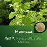 Мелиссы экстракт сухой Мелиссы экстракт сухой
