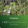Очанки экстракт сухой