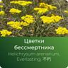 Бессмертника экстракт сухой Бессмертника экстракт сухой