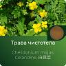 Чистотела экстракт сухой Чистотела экстракт сухой