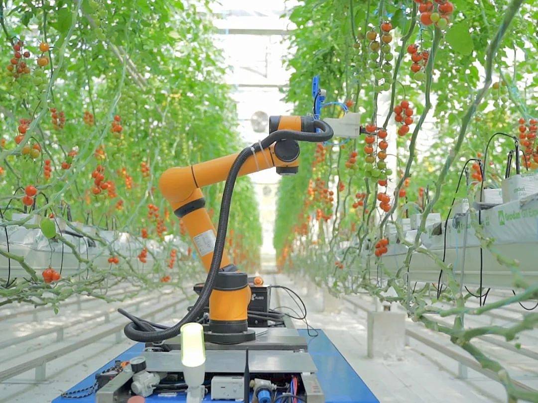 Ночной дозор: зачем агроному нужен робот-инспектор Ночной дозор: зачем агроному нужен робот-инспектор