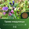 Медуницы экстракт сухой