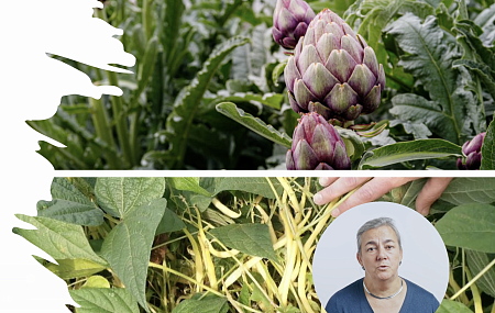 Старт в лекарственном растениеводстве