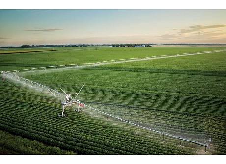 Запись вебинара "Полив и лекарственные растения" 