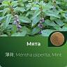 Мяты экстракт сухой Мяты экстракт сухой