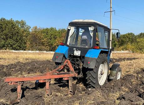 Лекарственное растениеводство под ключ 