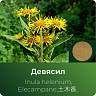 Девясила экстракт сухой