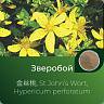 Зверобоя экстракт сухой Зверобоя экстракт сухой