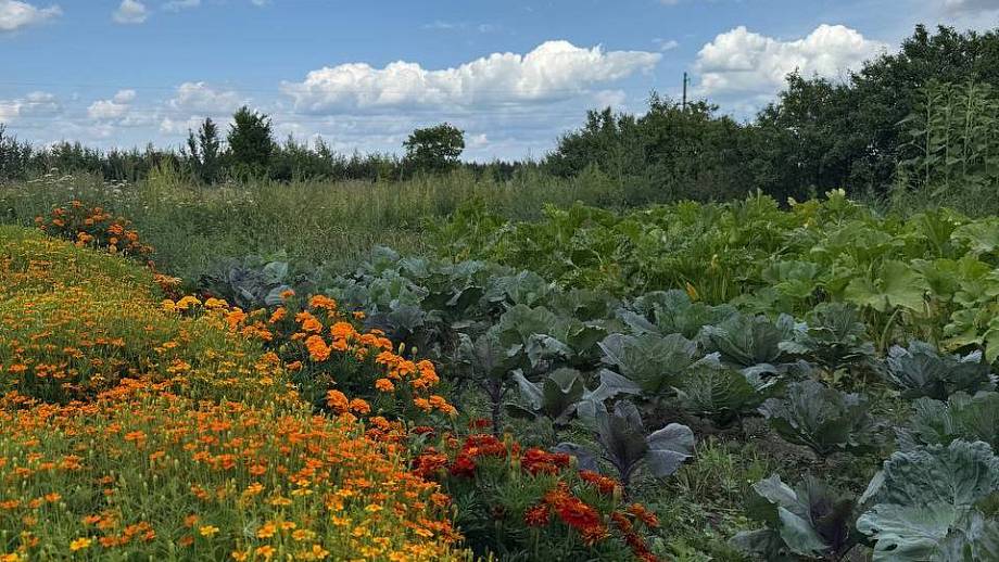 Журнал Журнал