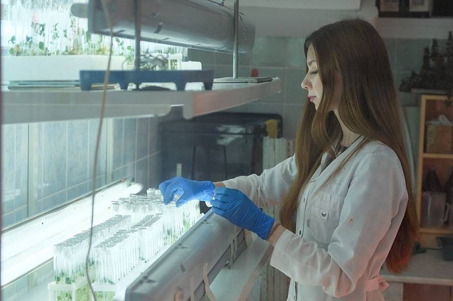 Журнал Журнал