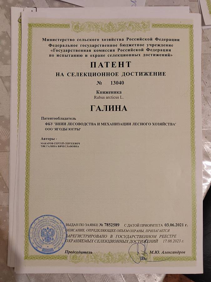 Журнал