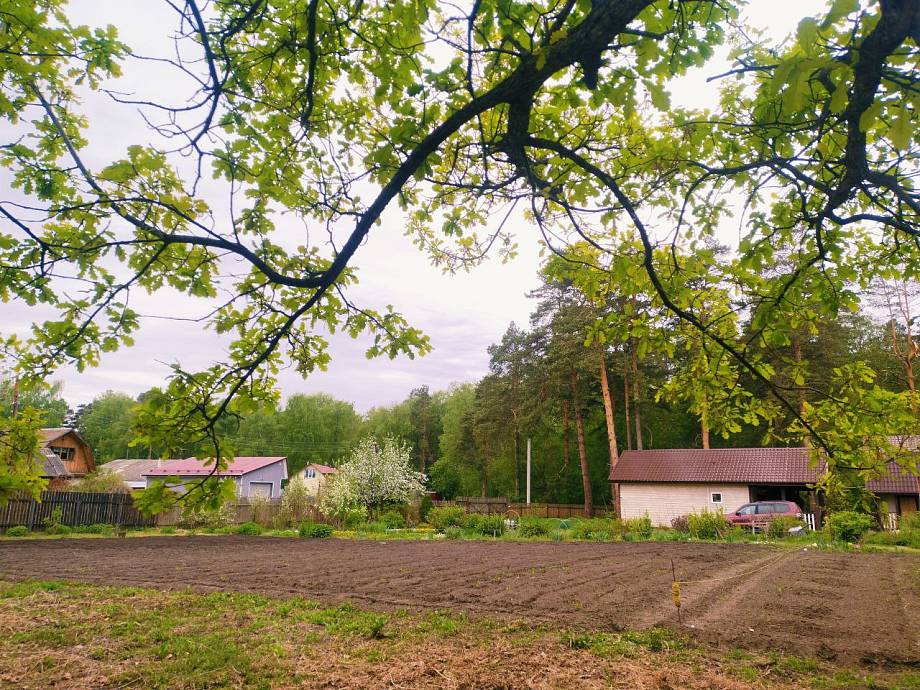 Журнал