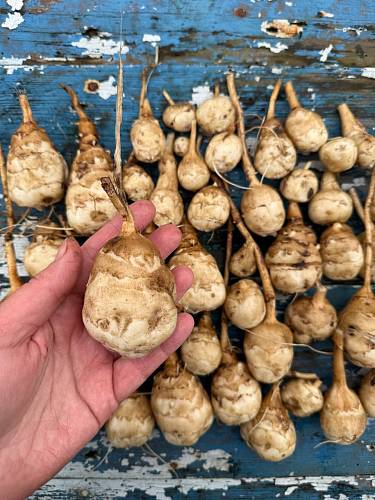 Журнал Журнал