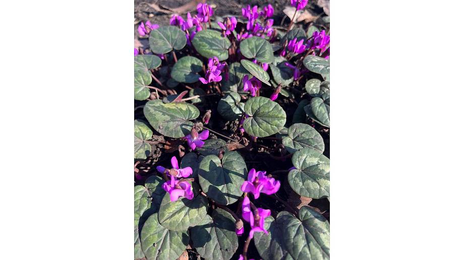 Журнал Журнал