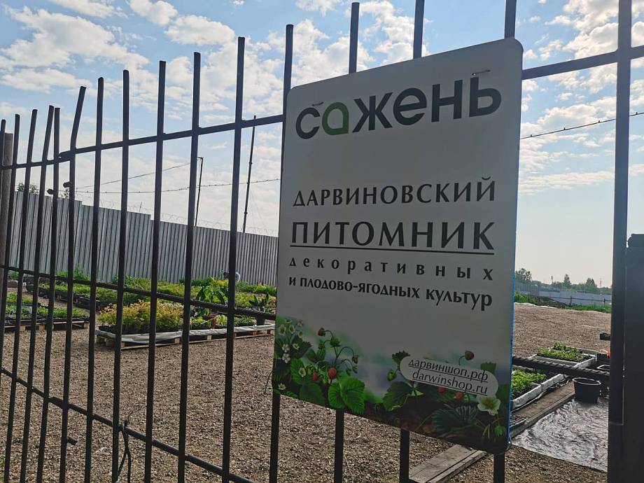 Журнал