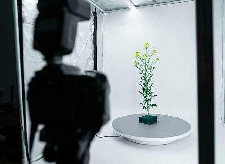 От архива до 3D-модели: как создавался цифровой гербарий лекарственных растений От архива до 3D-модели: как создавался цифровой гербарий лекарственных растений