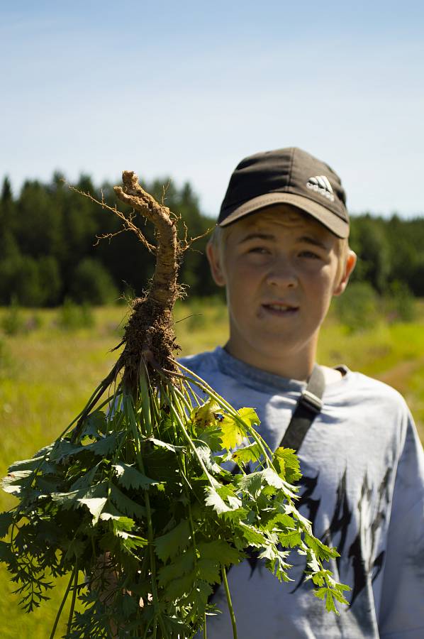 Журнал