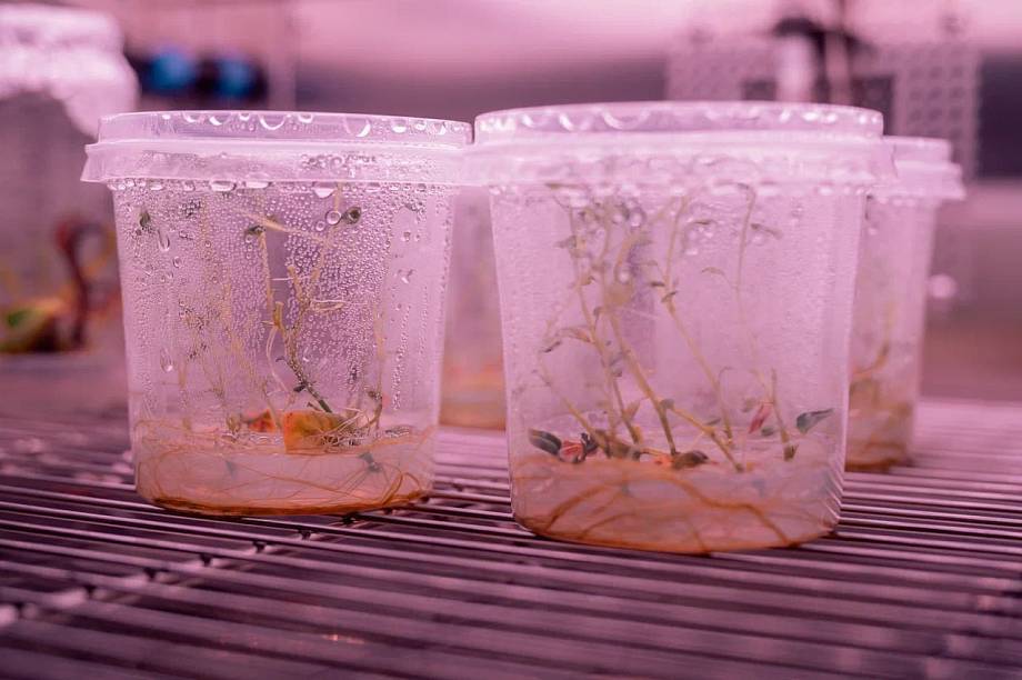 Журнал Журнал