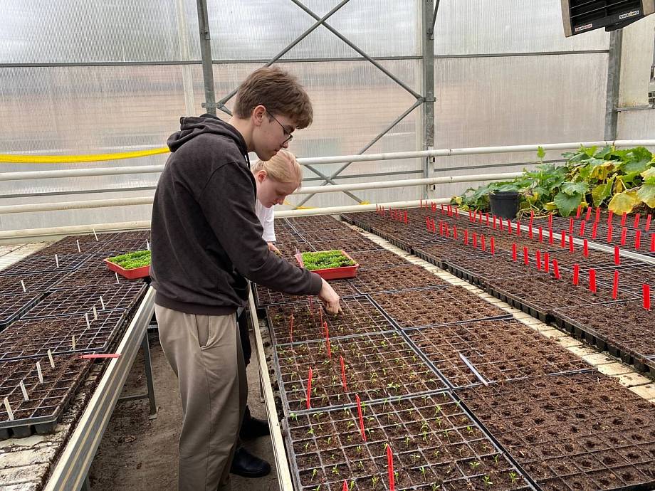 Журнал Журнал