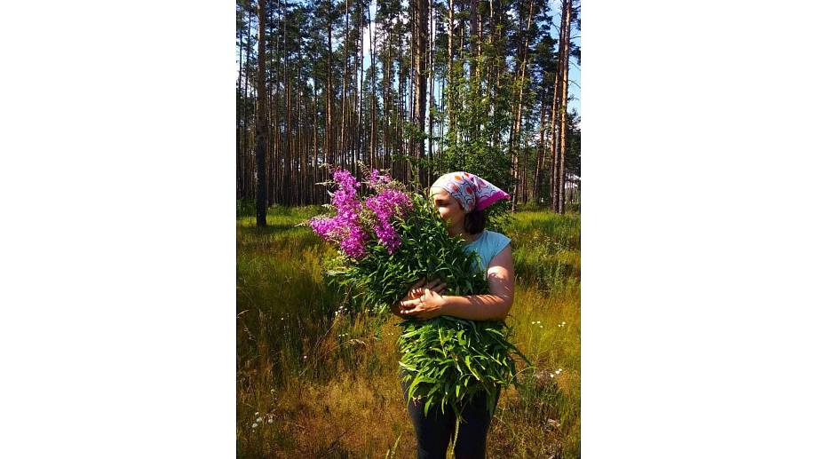 Журнал Журнал