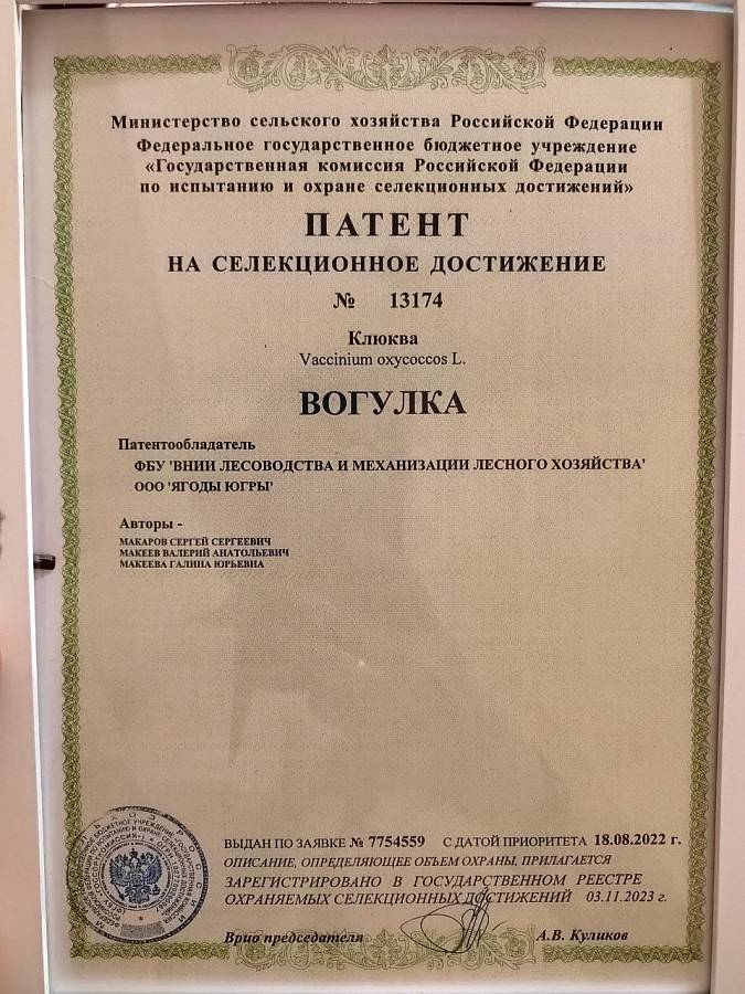 Журнал Журнал